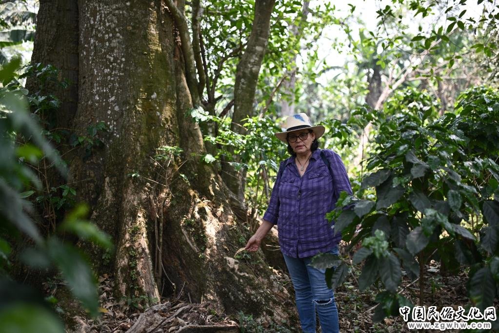 综合消息:推进洪中两国各领域合作——洪都拉斯各界期待洪总统访华取得丰硕成果